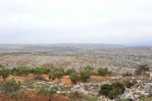 sergilla syria  163.jpg